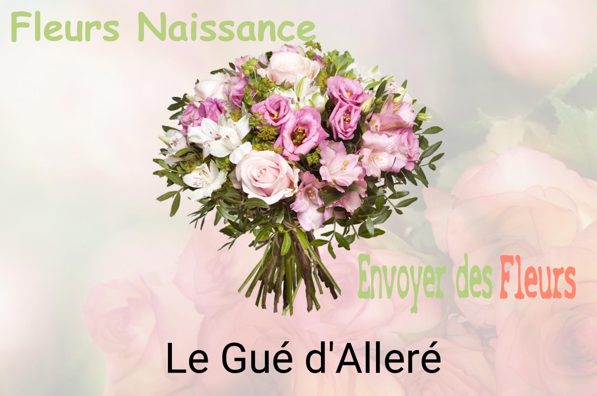 Bouquet de fleurs de naissance livré à Le Gué-d'Alleré